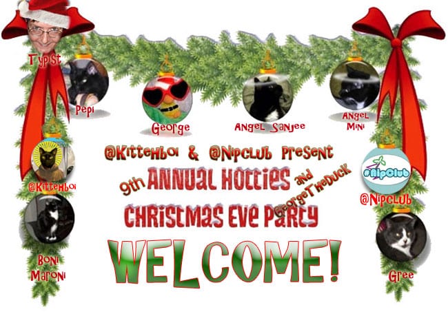 Welcome to #CatmasEve 2014