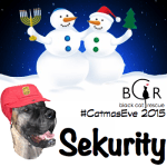 #CatmasEve 2015 Sekurity.Brutus
