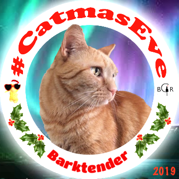 2019 Barktender @TiggyBean