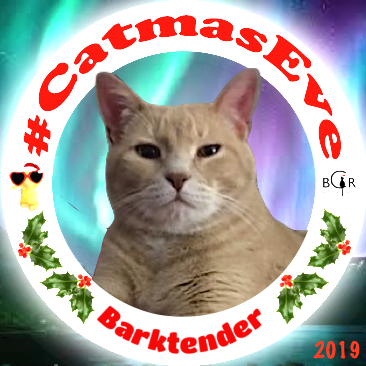 2019 Barktender @WinstonTabby