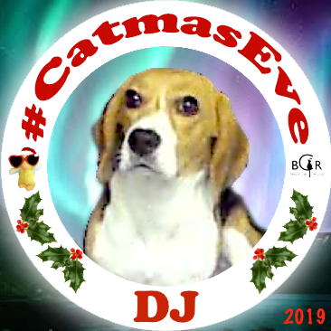 2019 DJ @bea_bells