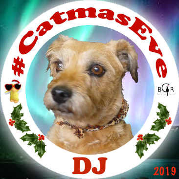 2019 DJ @dogstoyevsky