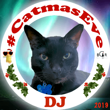 2019 DJ @kittehboi