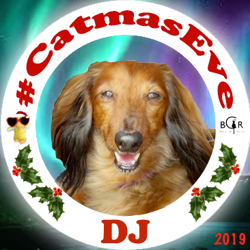 2019 DJ @skye613