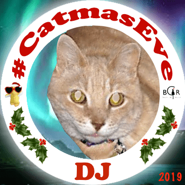 2019 DJ @TheNascarKitty
