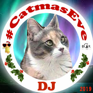 2019 DJ @tinypearlcat