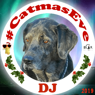 2019 DJ @RealFakeGator