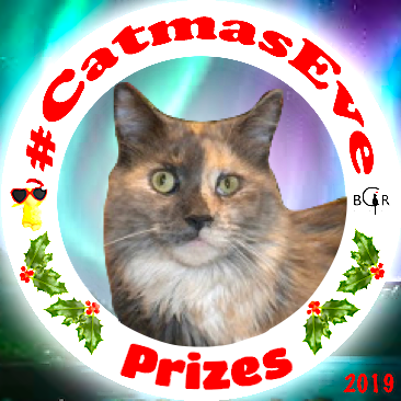 2019 Prizes @MaggieTKat