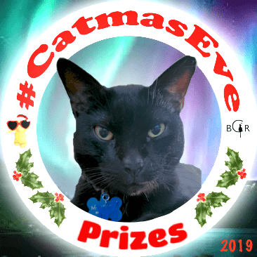 2019 Prizes @kittehboi