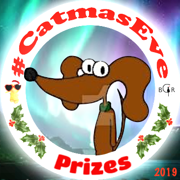 2019 Prizes @midgethemutt