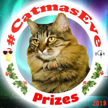 2019 Prizes @pumpkinpuddy