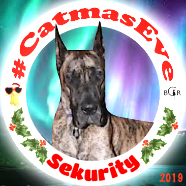 2019 Sekurity @BrutusTheDane