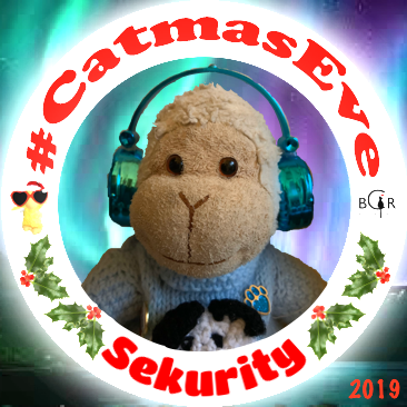 2019 Sekurity @DCMonkey3