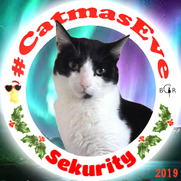 2019 Sekurity @Mikey_W_Cat
