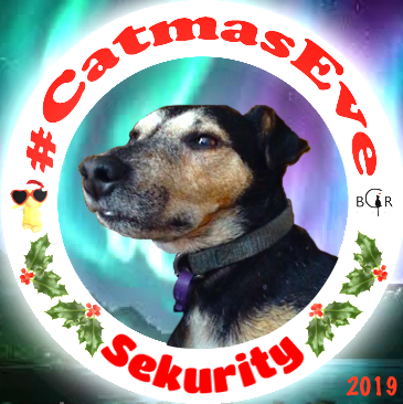 2019 Sekurity @TerenceTerrier