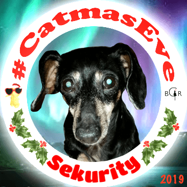2019 Sekurity @abbeyrescuedox