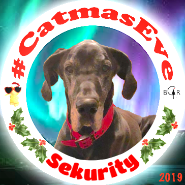 2019 Sekurity @baileythedane