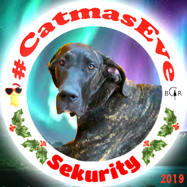 2019 Sekurity @brutusthedane sisfur Nali