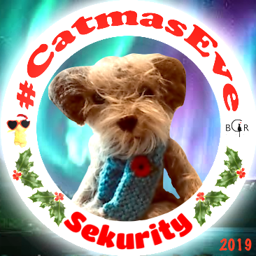 2019 Sekurity @claptonterrier
