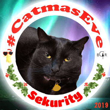 2019 Sekurity @sisfurcats Ragamuffin