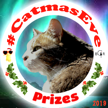 2019 Prizes @cherieswan