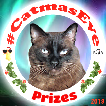 2019 Prizes @TweetingTruman