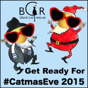 Getting Ready for #CatmasEve