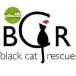 $10 donation to BCR
